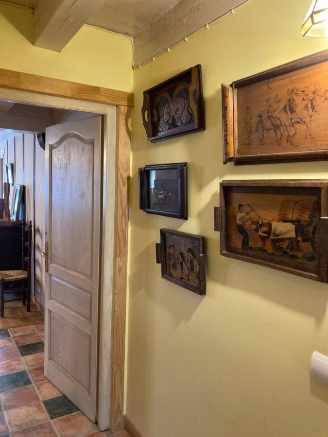 Agotxenea. Precioso Apartamento Rural En El Baztan Майя-дель-Бастан Экстерьер фото
